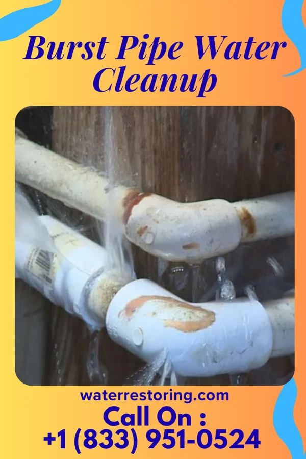 Burst Pipe Water Cleanup in Harrison, NJ