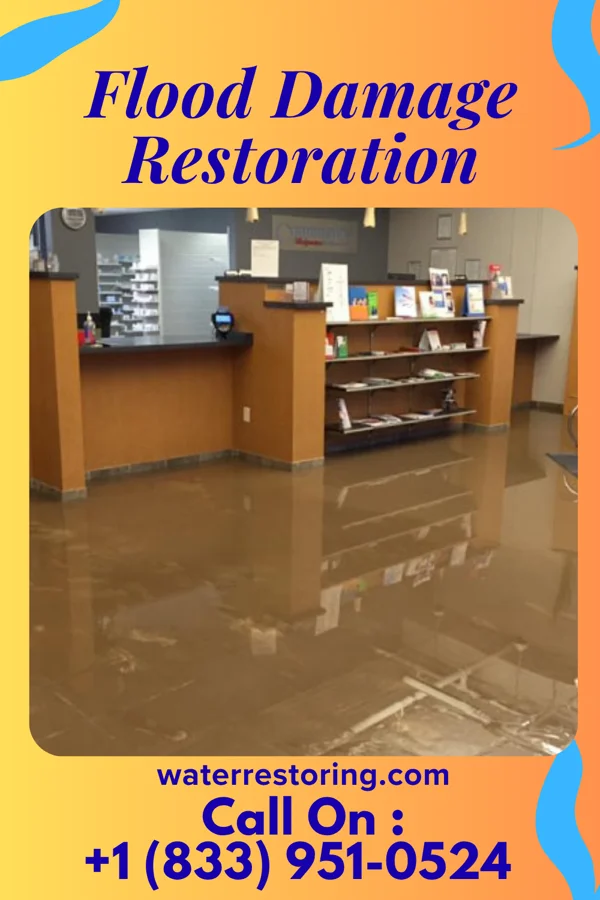 Flood Damage Restoration in Harrison, NJ