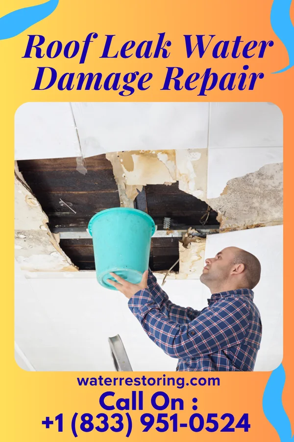 Roof Leak Water Damage Repair in Harrison, NJ