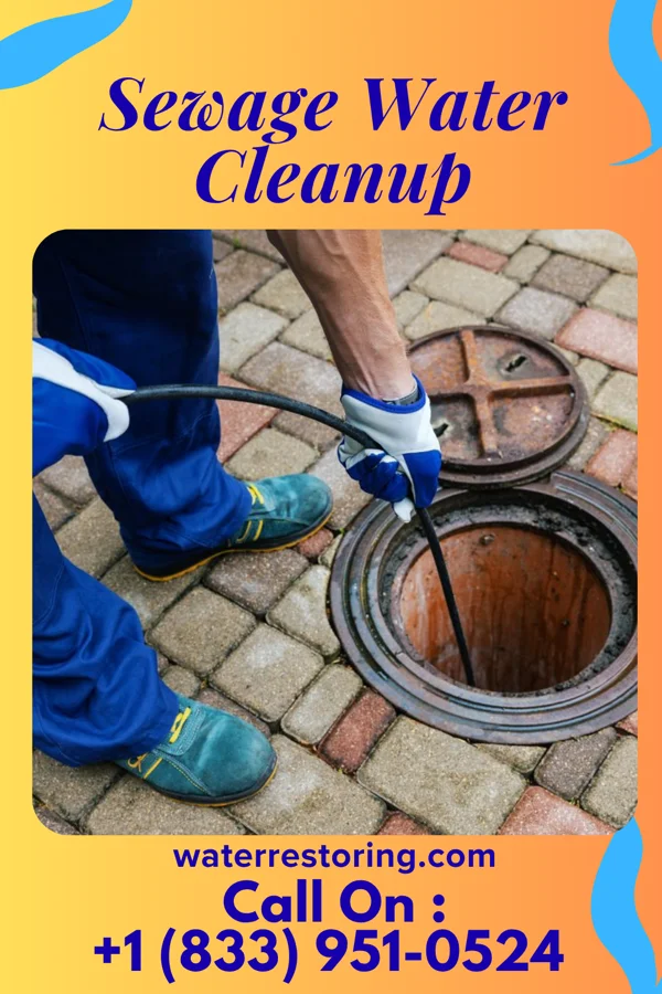Sewage Water Cleanup in Harrison, NJ