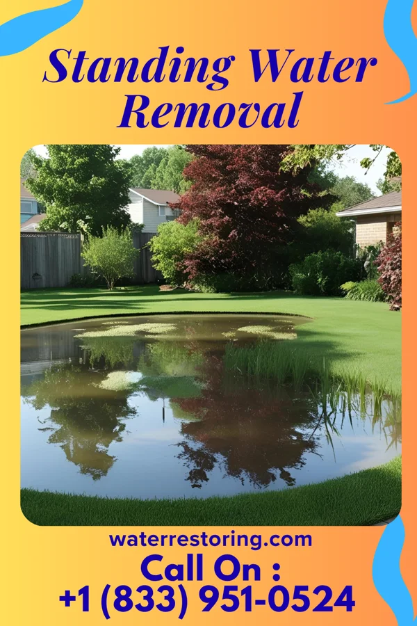 Standing Water Removal in Harrison, NJ